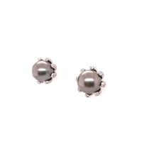 Fabulous Pair of Tahitian Pearls and Diamonds Ear Studs