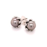 Fabulous Pair of Tahitian Pearls and Diamonds Ear Studs