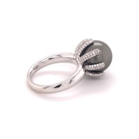 Fabulous Tahitian Pearl and Diamond Ring in White Gold Fabulous Tahitian Pearl and Diamond Ring in White Gold