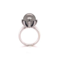 Fabulous Tahitian Pearl and Diamond Ring in White Gold Fabulous Tahitian Pearl and Diamond Ring in White Gold