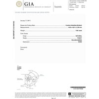 GIA Certified Fancy Color Diamond Gold Necklace GIA Certified Fancy Color Diamond Gold Necklace