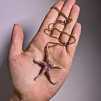 Pink Sapphire and Diamond Sea Star Necklace in 18 Karat Rose Gold